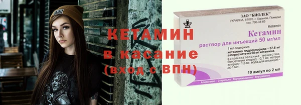 индика Горняк
