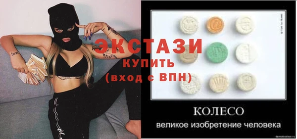 индика Горняк
