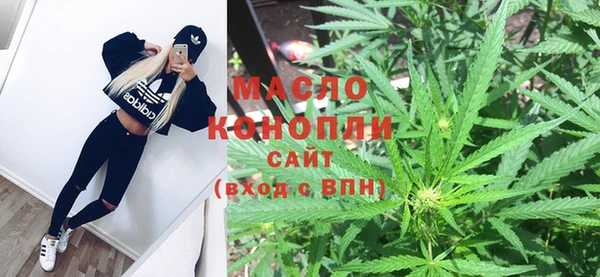 индика Горняк