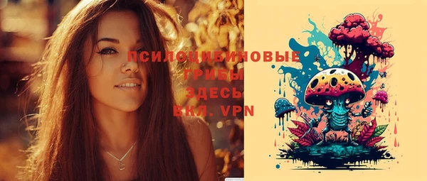 гидропоника Горнозаводск