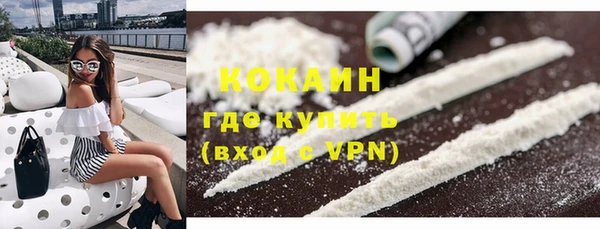 индика Горняк