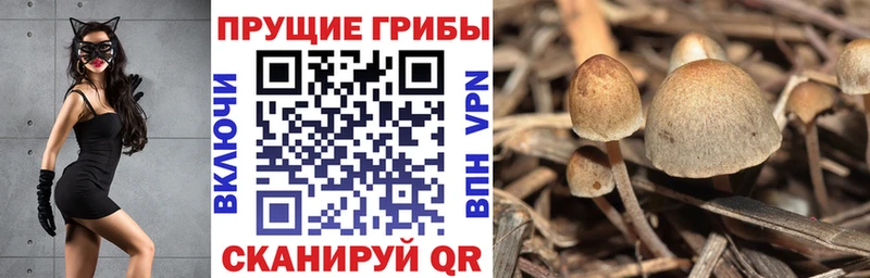 где найти   гидра рабочий сайт  Псилоцибиновые грибы прущие грибы  сайты даркнета формула  Грязи 